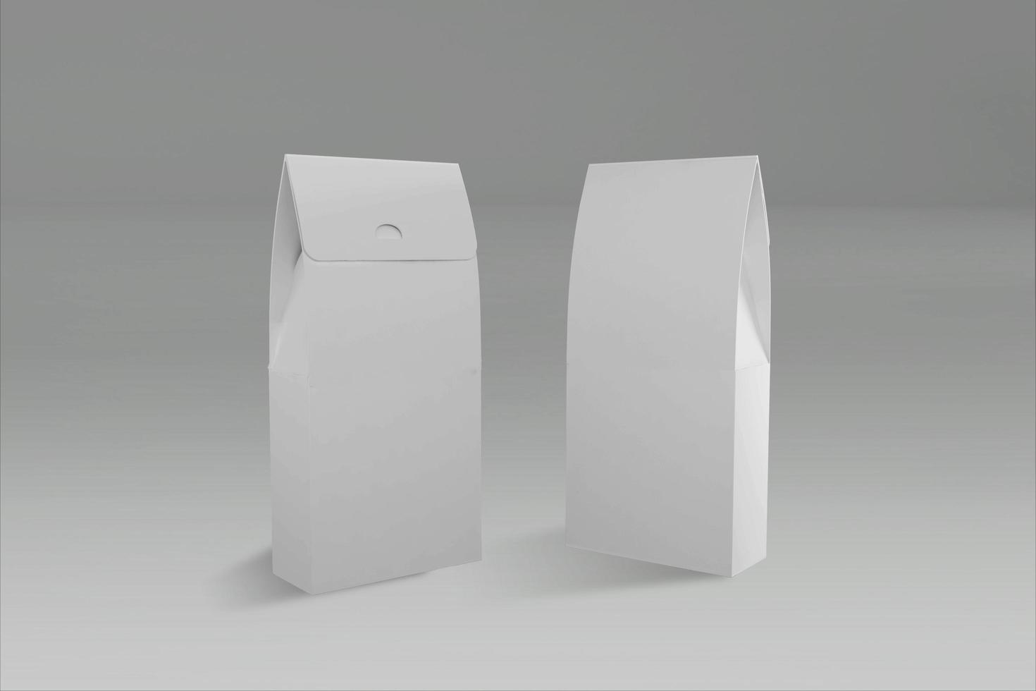 Rendu 3D de la boîte de deux livres blancs avec un couvercle fermé sur fond gris. adapté à votre élément de projet. photo