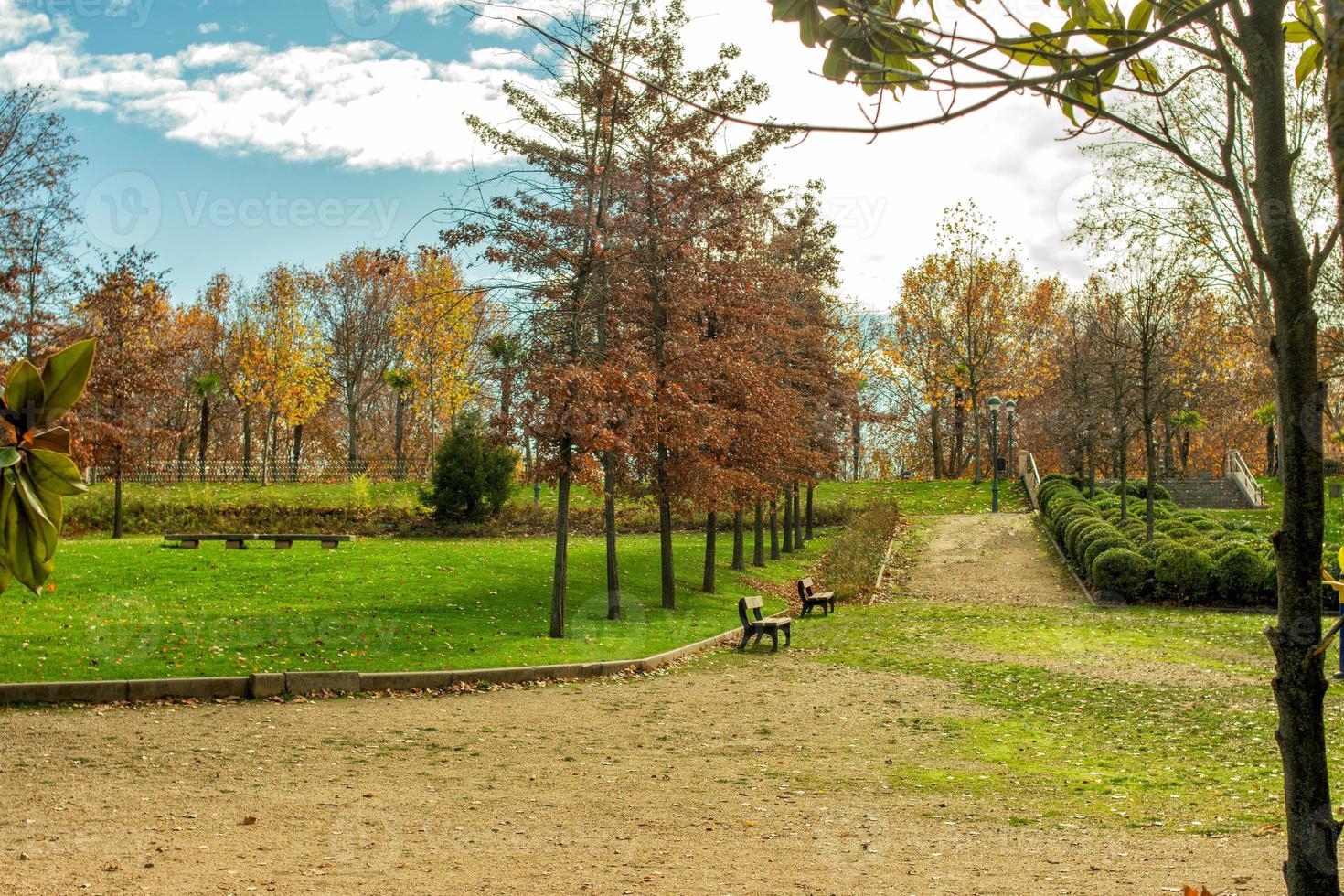 chemin dans le parc avec bancs, arbres et feuilles sèches photo