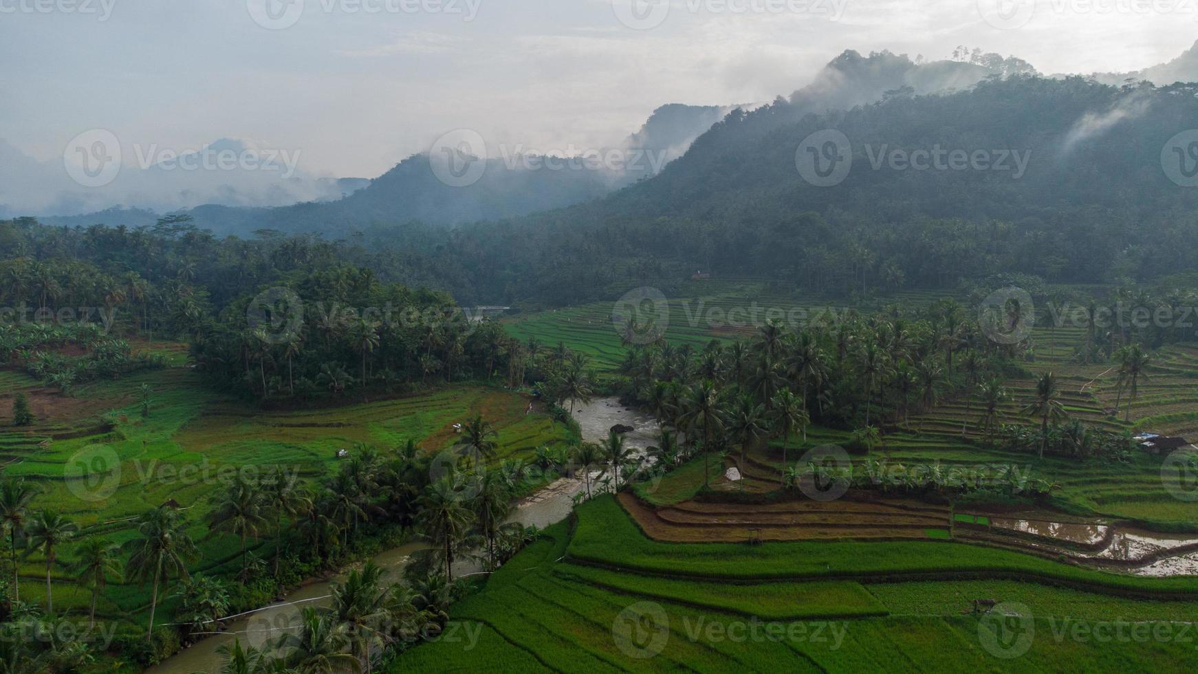 Champ de riz en terrasses vertes à bruno , purworejo, java central, indonésie photo