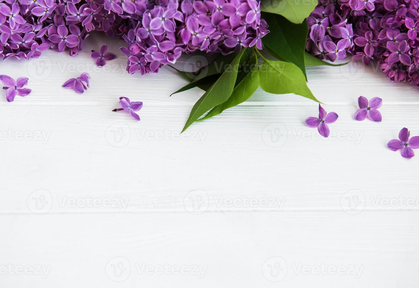 fleurs lilas sur une table photo