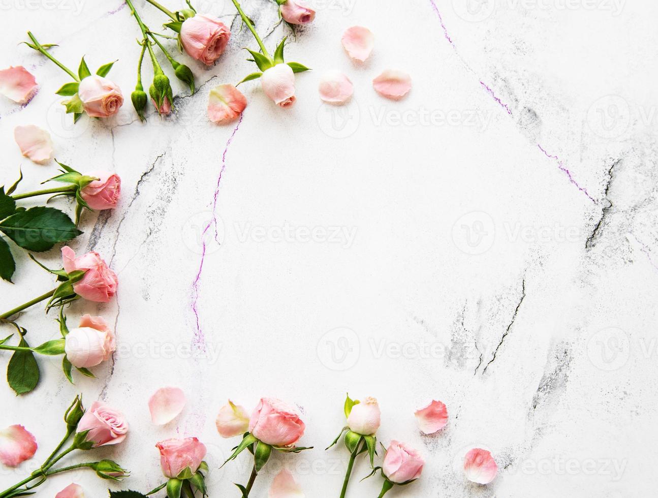 cadre de roses roses photo