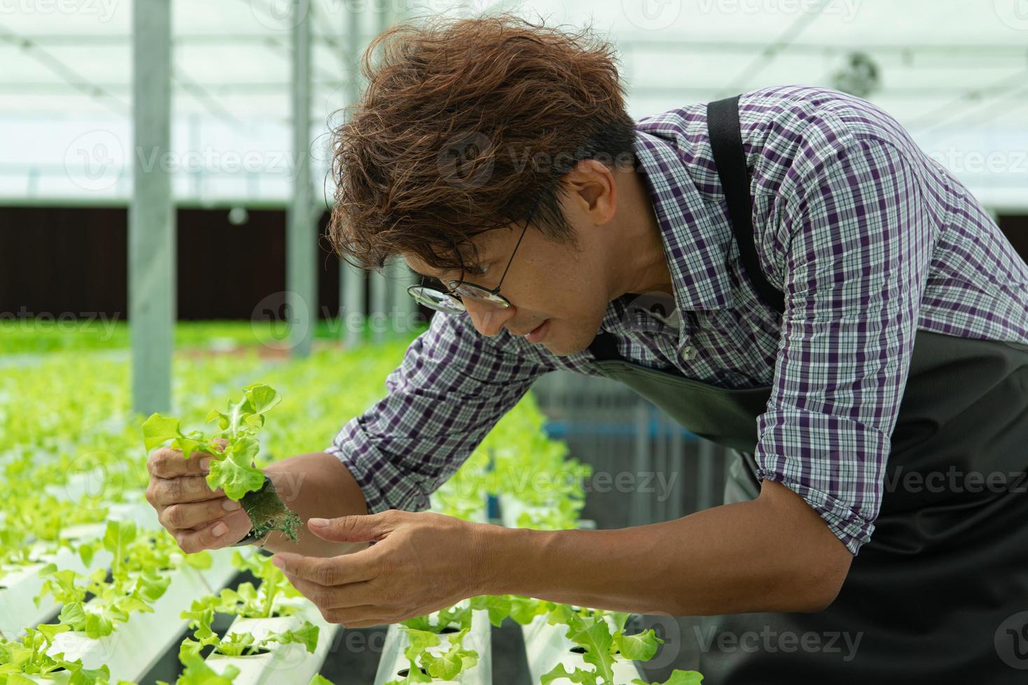 une nouvelle génération de jeunes hommes asiatiques avec une entreprise de légumes biologiques photo