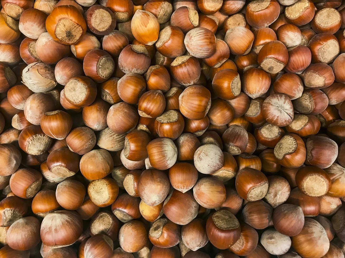 fond de nourriture aux noisettes. tas de noisettes non pelées photo