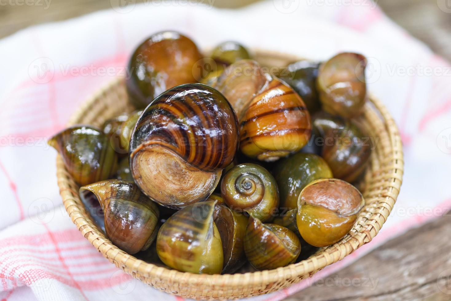 escargot pomme escargot d'eau douce rivière de la nature champ pour la nourriture cuisine locale thaïlandaise cuite pila ampullacea crustacés photo