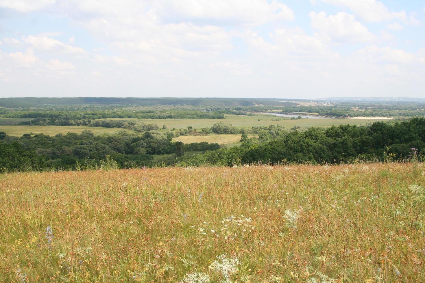 paysage rural. champ et forêt photo