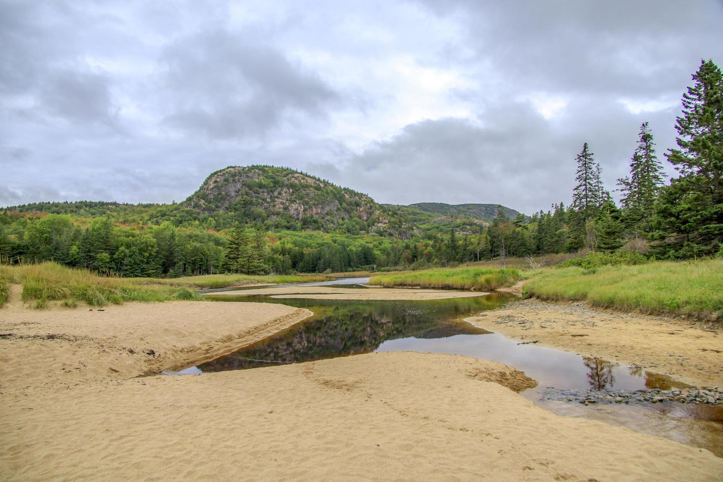 ruisseau qui coule au milieu d'une forêt colorée photo