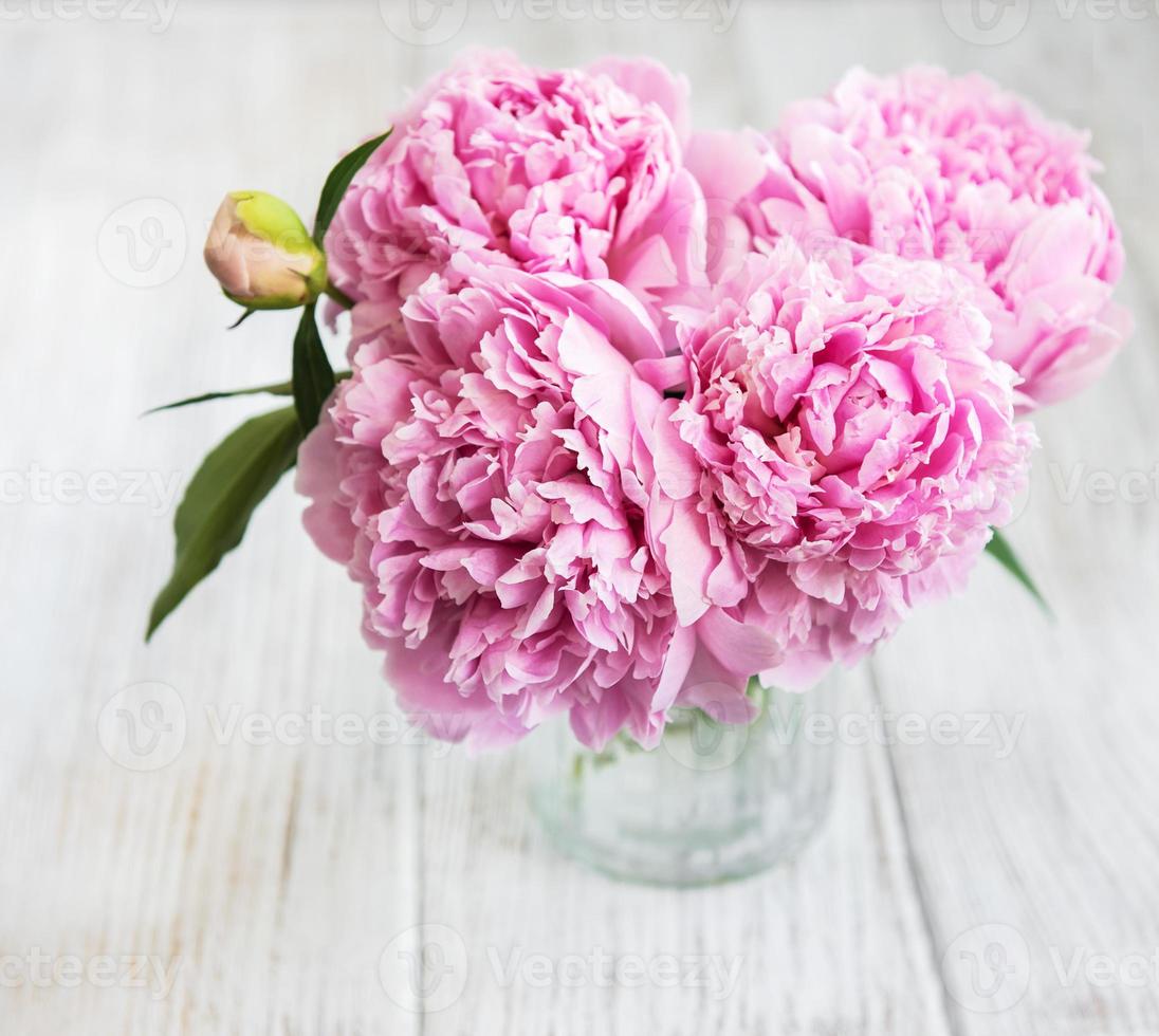 fleurs de pivoine rose photo