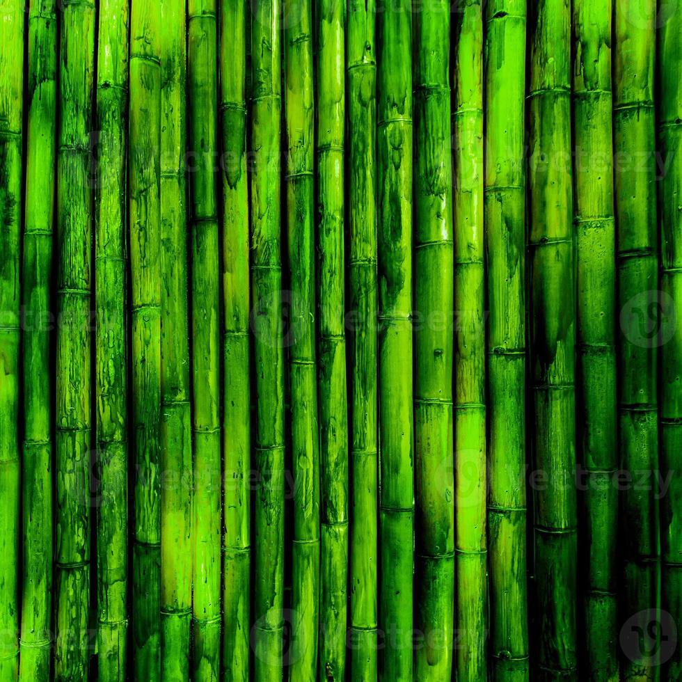 forêt de bambous japonais vert et papier peint oriental en croissance bambou naturel. photo