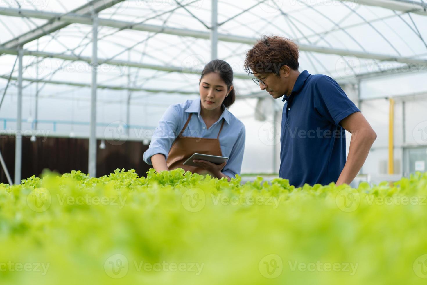 le propriétaire du potager bio donne des conseils aux clients photo