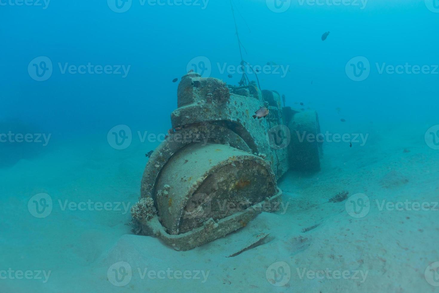 pollution de la mer par les métaux et autres déchets de la mer rouge photo