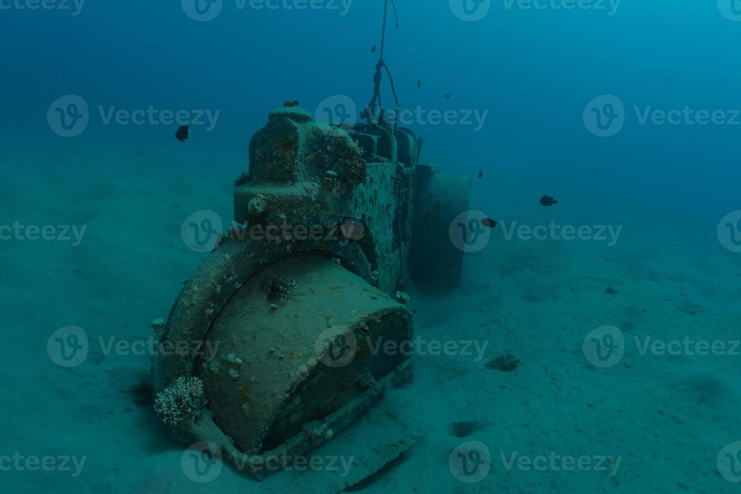 pollution de la mer par les métaux et autres déchets de la mer rouge photo