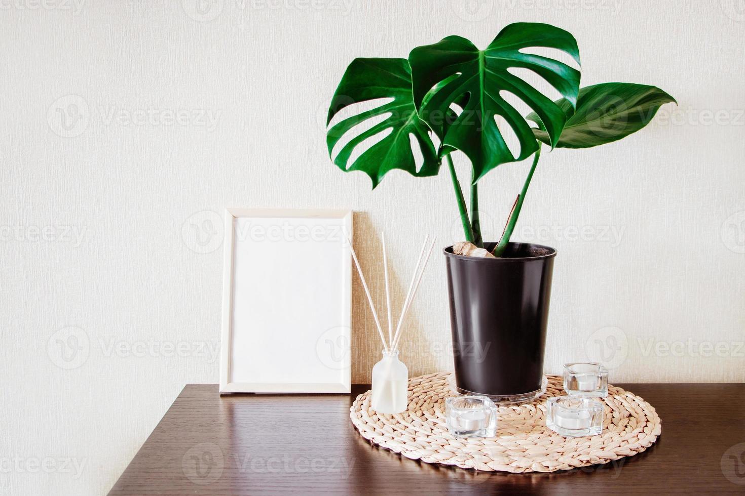 plante d'intérieur monstera en pot et diffuseur d'arôme écologique. photo