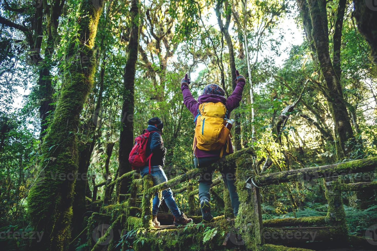 couples voyageant, détendez-vous en hiver. profitez d'un voyage à pied pour étudier la nature dans la forêt tropicale. à l'angka, chiangmai photo