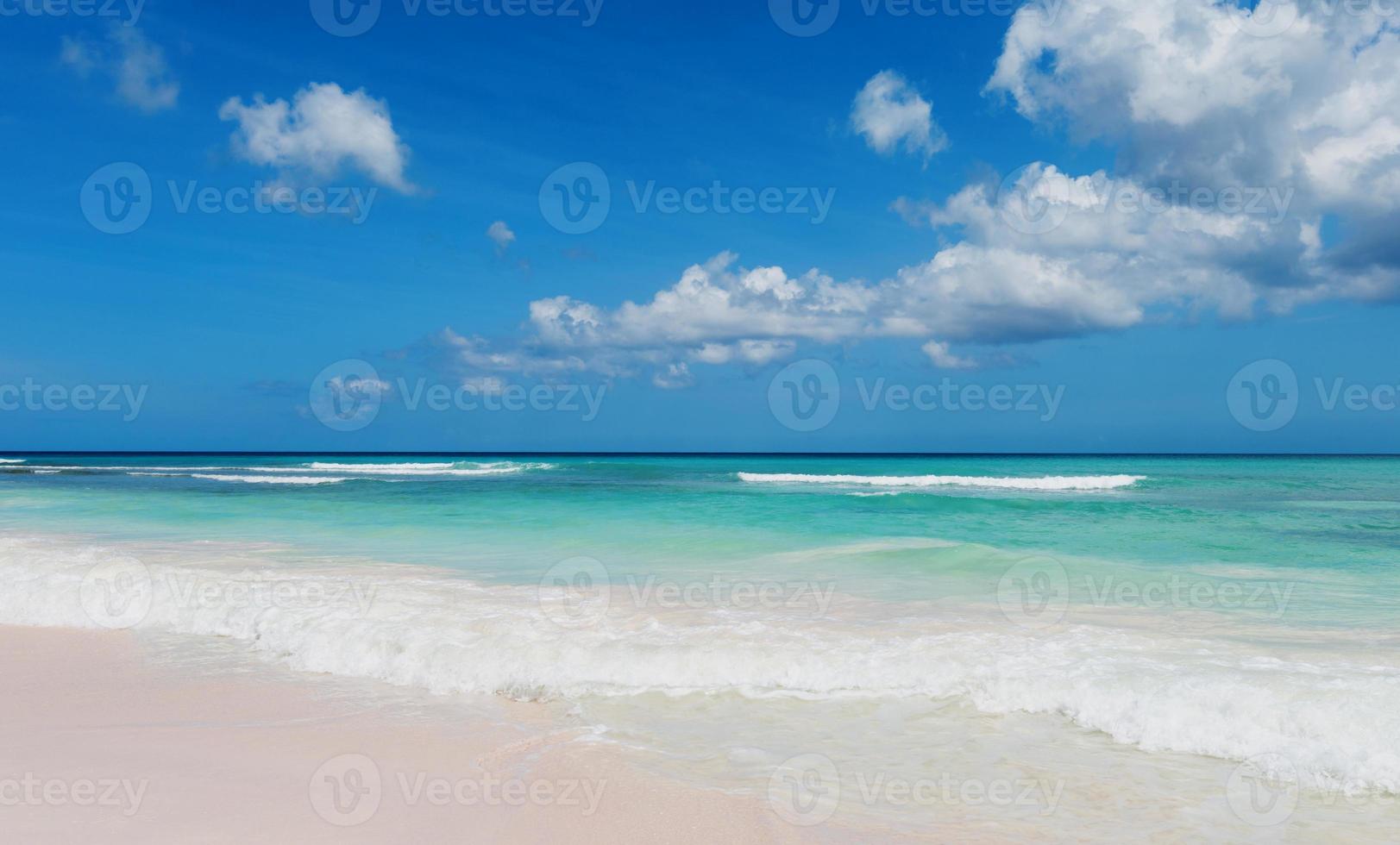 belle plage paradisiaque tropicale avec du sable blanc et des cocotiers sur le panorama de la mer bleue. photo