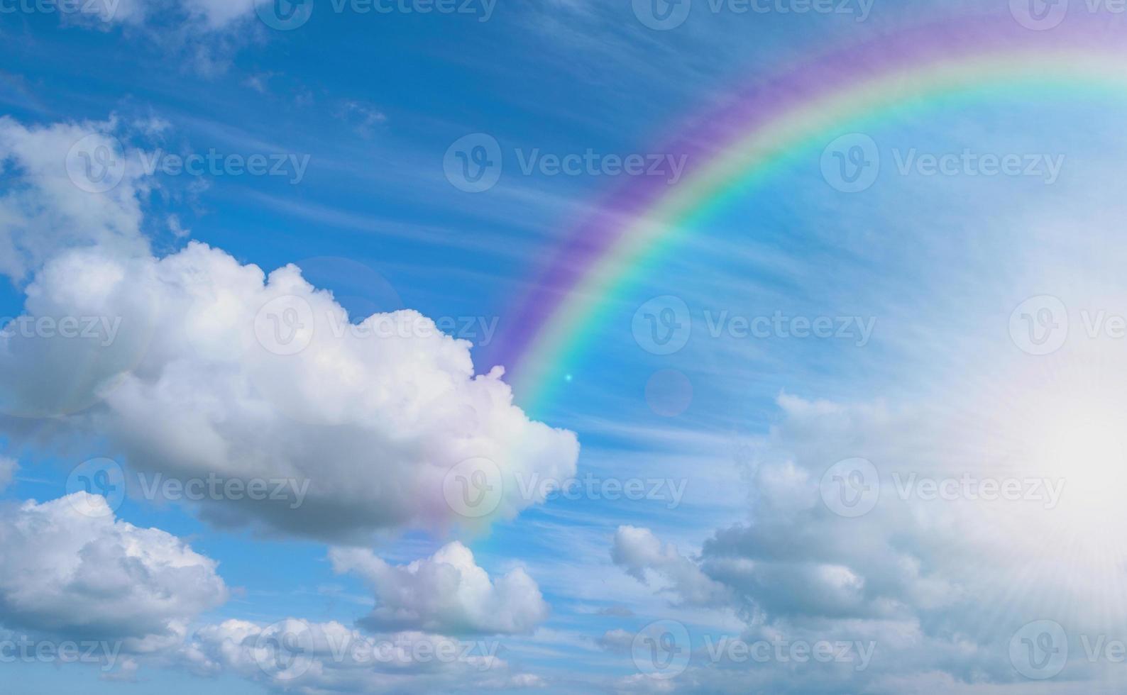 ambiance colorée arc-en-ciel forêt d'épinettes ensoleillées d'été avec de l'herbe et des arbres sur la mer photo