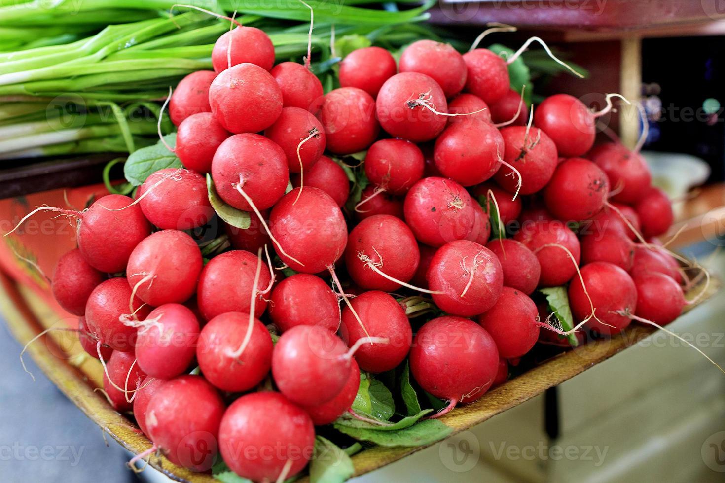 tubercules secs de radis rouge sur fond d'oignons verts en flou. photo