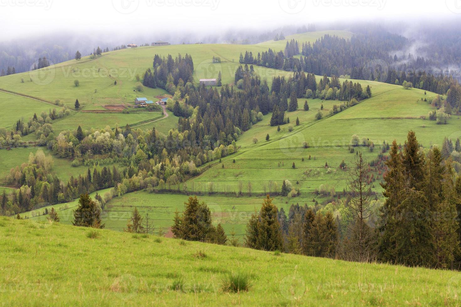 de beaux paysages des montagnes des Carpates au petit matin et un chemin de terre en descente. photo