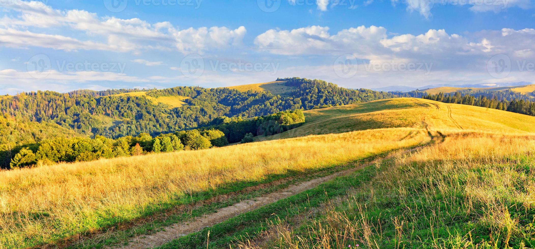 un chemin de terre traverse un chemin herbeux à travers les sommets des collines des Carpates, baigné de lumière dorée sous les rayons du soleil diurne. photo