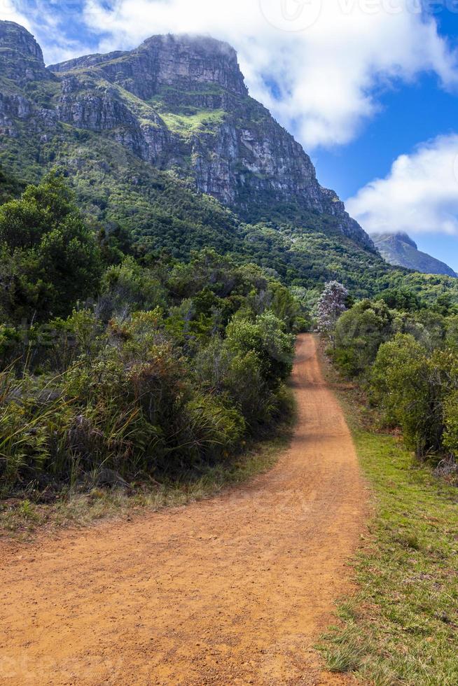 Grandes montagnes et sentiers Jardin botanique national Kirstenbosch, Cape Town. photo