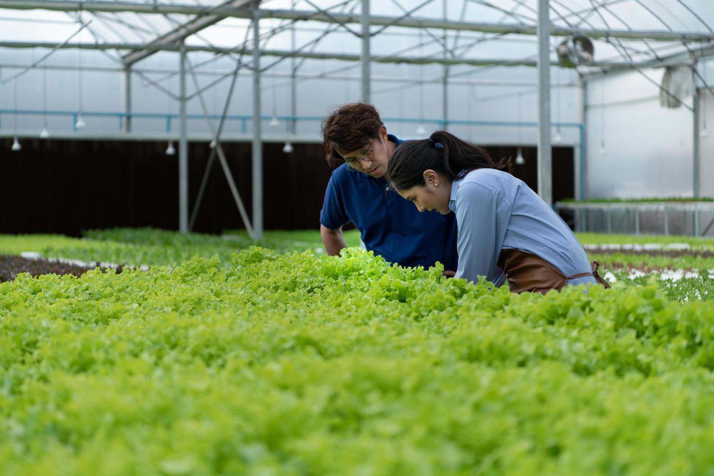 le propriétaire du potager bio donne des conseils aux clients photo