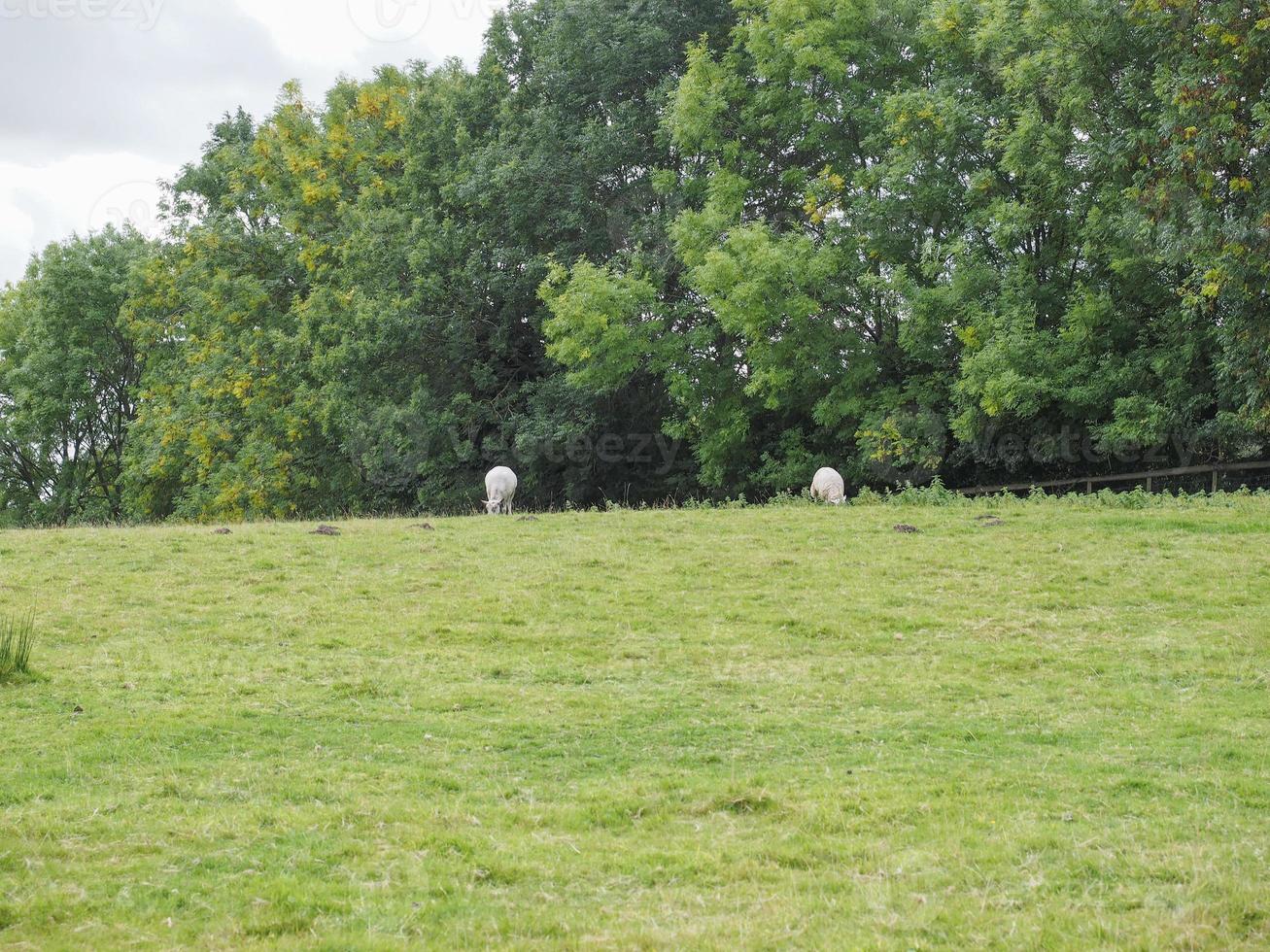 vue de tanworth en arden photo