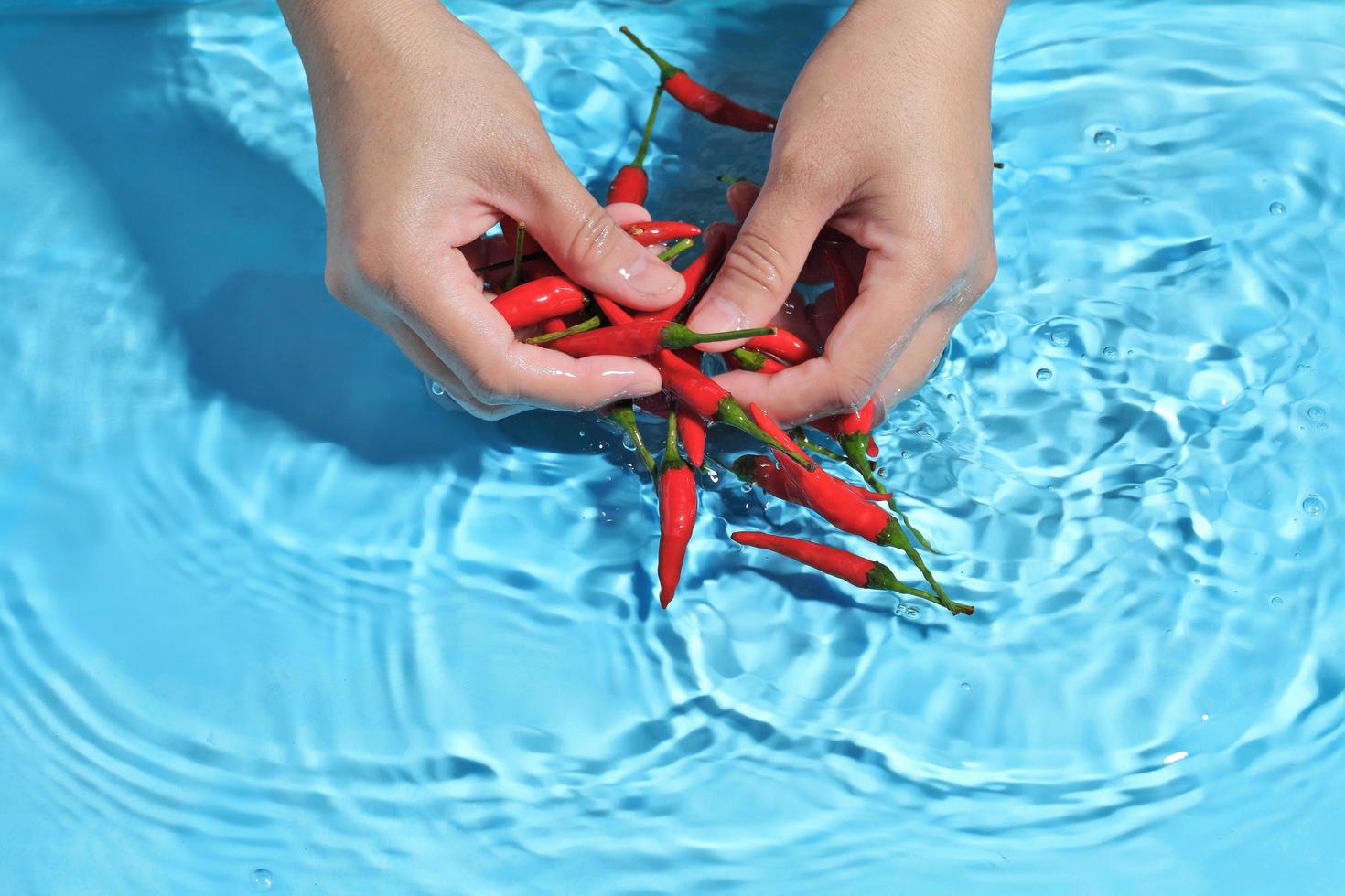 femme lavant les mains du poivre des oiseaux dans l'eau. laver les légumes avant cuisson photo