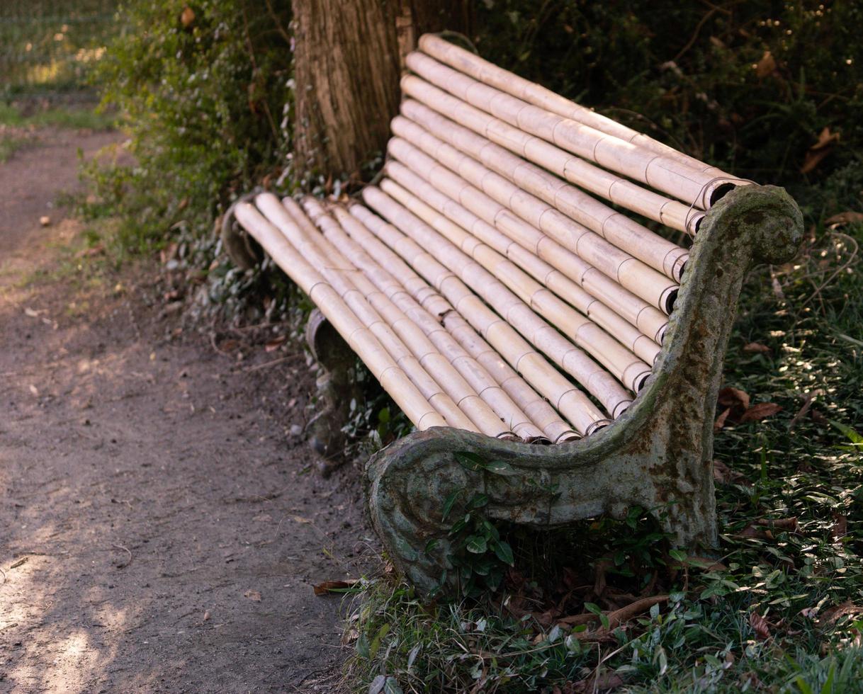 banc fait de rondins de bambou sur le fond du parc photo