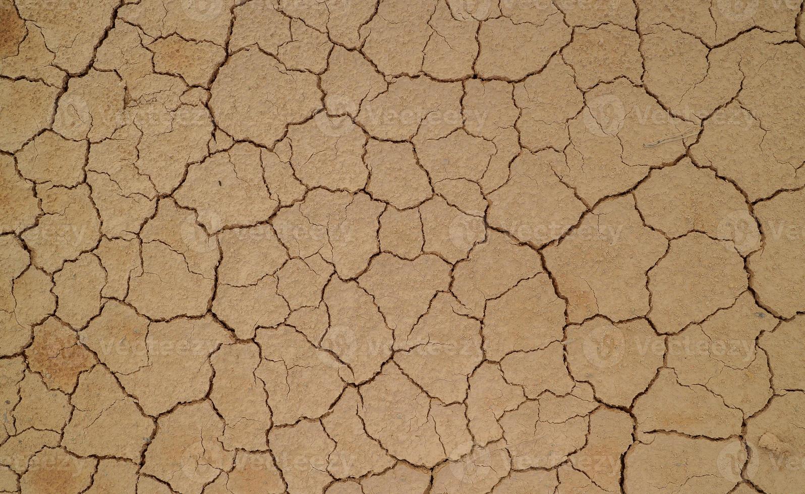 sol fissuré à cause de la sécheresse. la saison sèche fait sécher et fissurer le sol photo