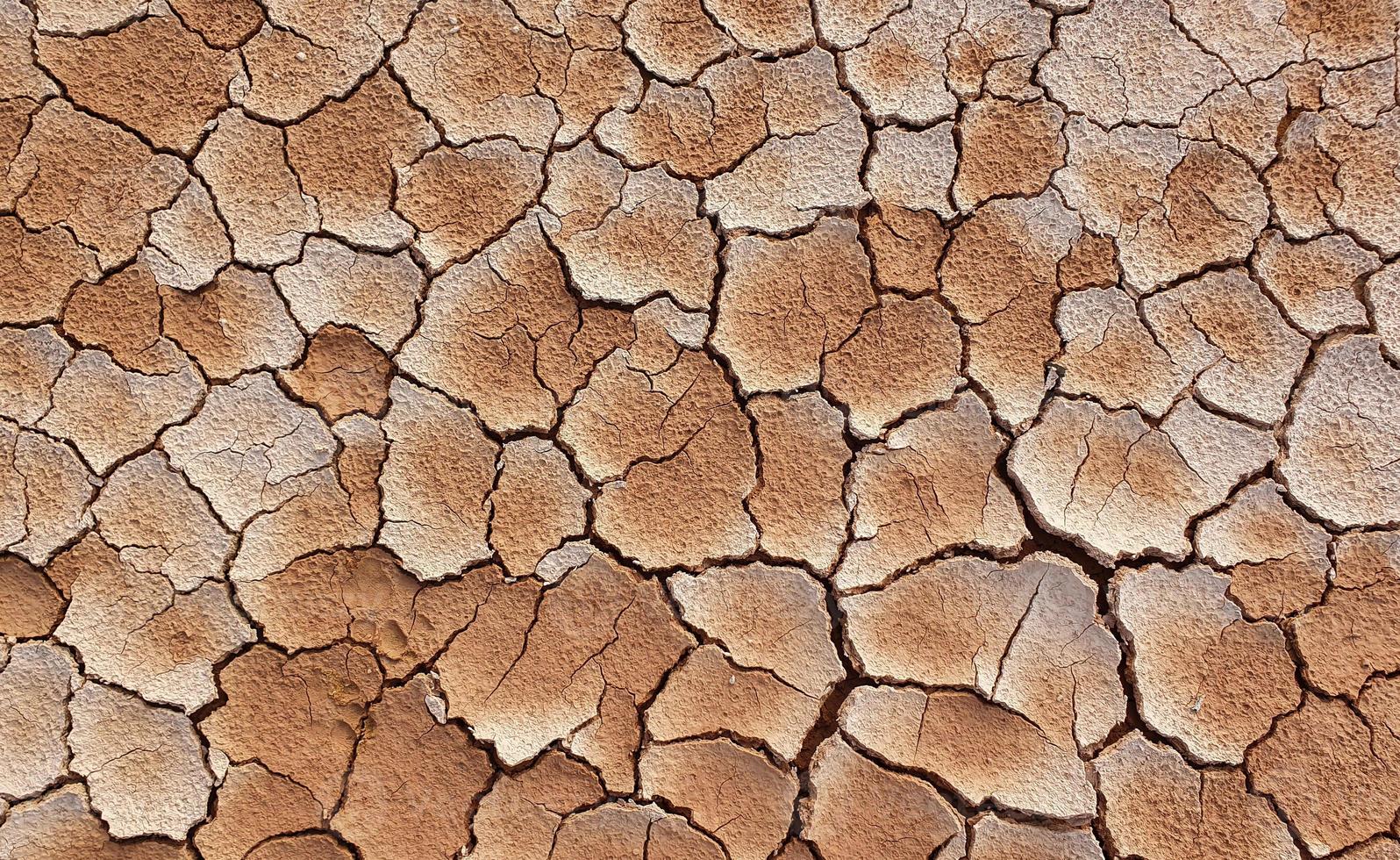 sol fissuré à cause de la sécheresse. la saison sèche fait sécher et fissurer le sol photo