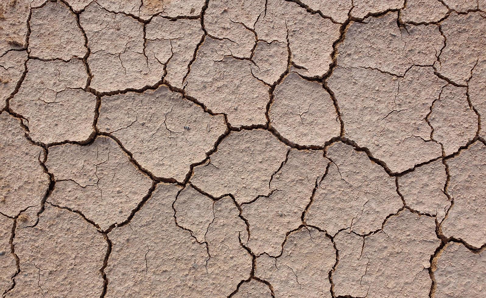 sol fissuré à cause de la sécheresse. la saison sèche fait sécher et fissurer le sol photo