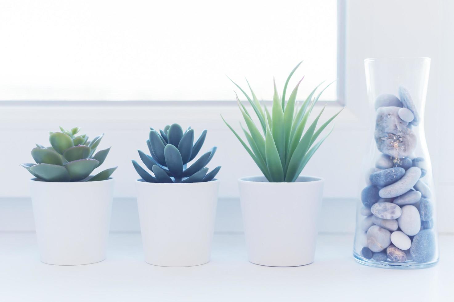 petites fleurs d'intérieur sur le rebord de la fenêtre dans des pots blancs et un vase avec des pierres de mer. le concept de confort intérieur et domestique. photo