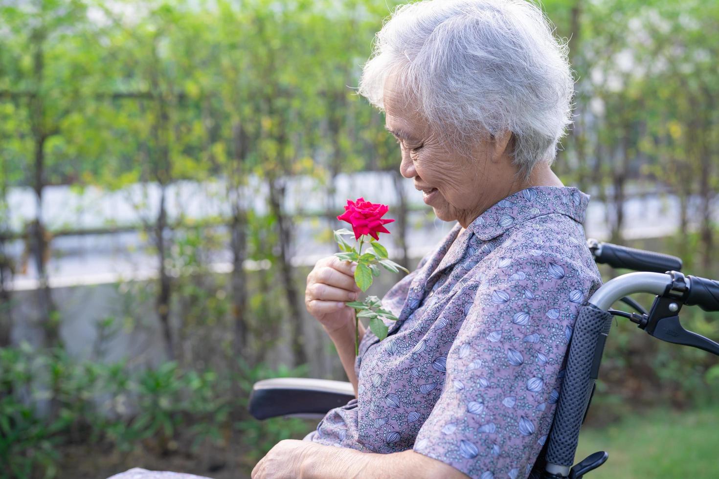 vieille dame asiatique âgée ou âgée tenant une rose rouge, souriante et heureuse en fauteuil roulant dans le parc. photo