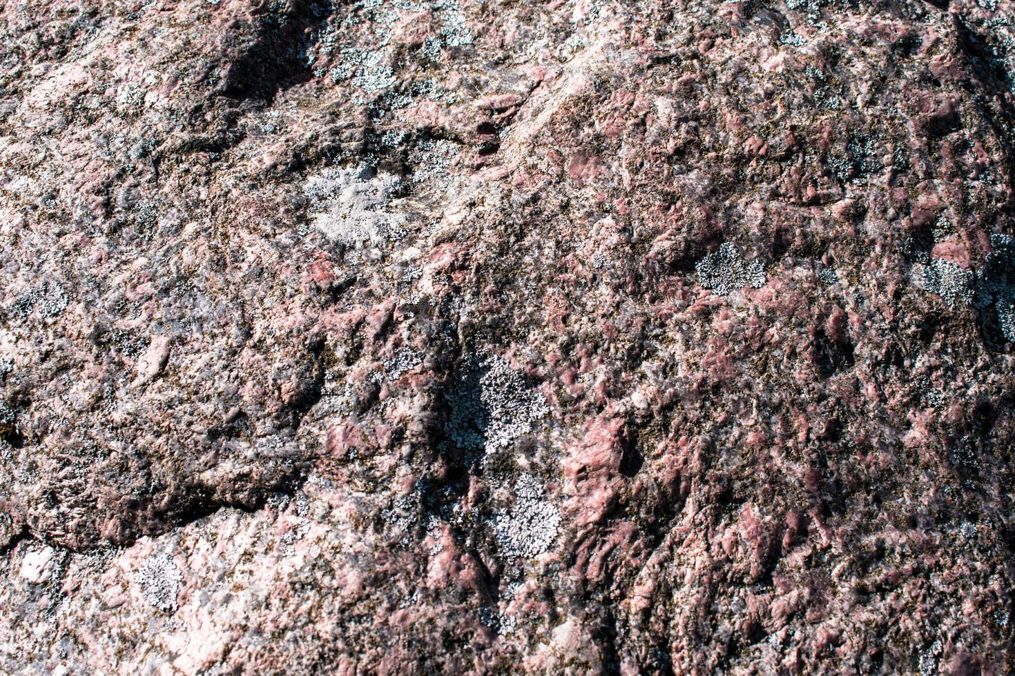 mer rock nature texturé feuille verte texture. feuille texture fond fond de campagne en plein air sur fond photo