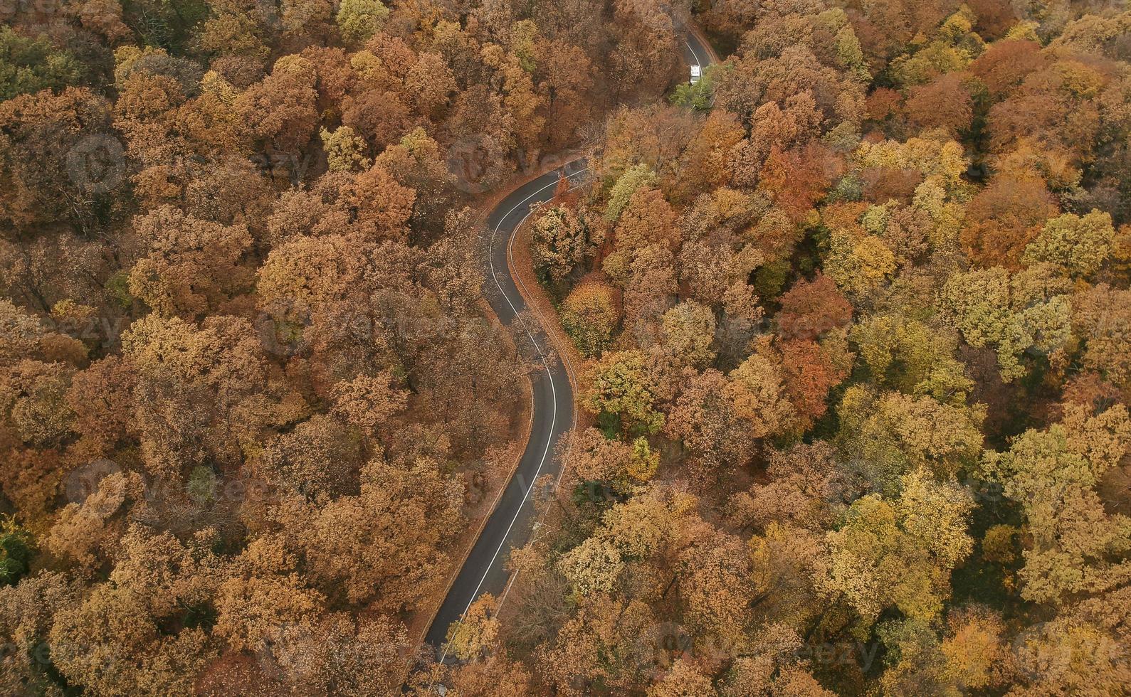 vue aérienne sur la route dans la forêt d'automne photo