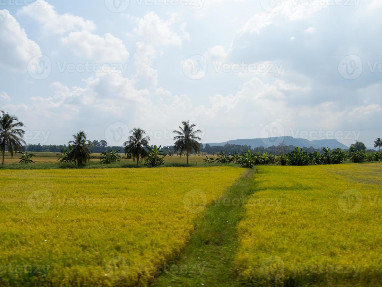 prairies et champs dans le ciel il y a des nuages photo