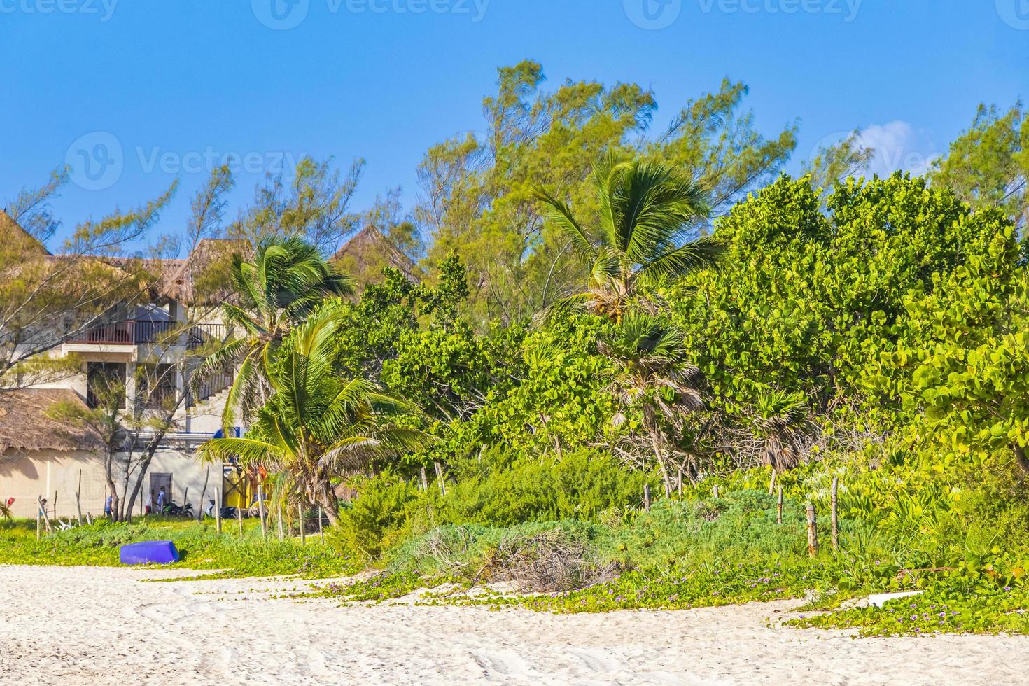 plage naturelle mexicaine tropicale avec forêt playa del carmen mexique. photo