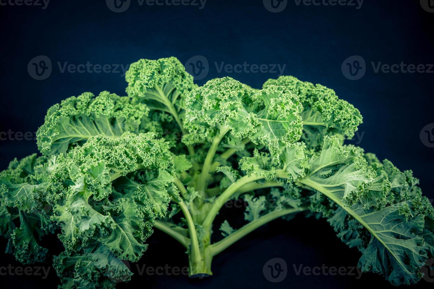 Le chou frisé vert de la cuisine traditionnelle du nord de l'Allemagne photo