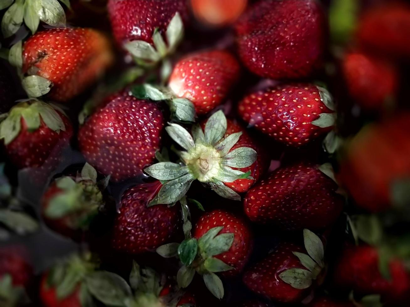 les fraises fraîches photo