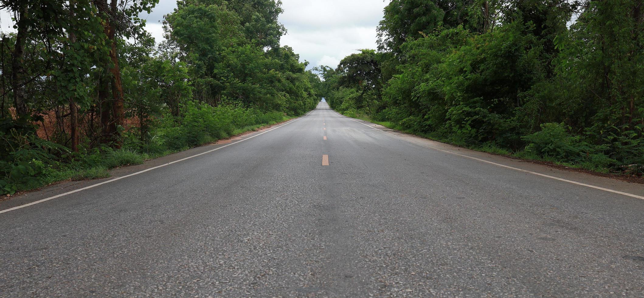 route avec des arbres verts le long du chemin, concept de voyage, voyage et tourisme photo