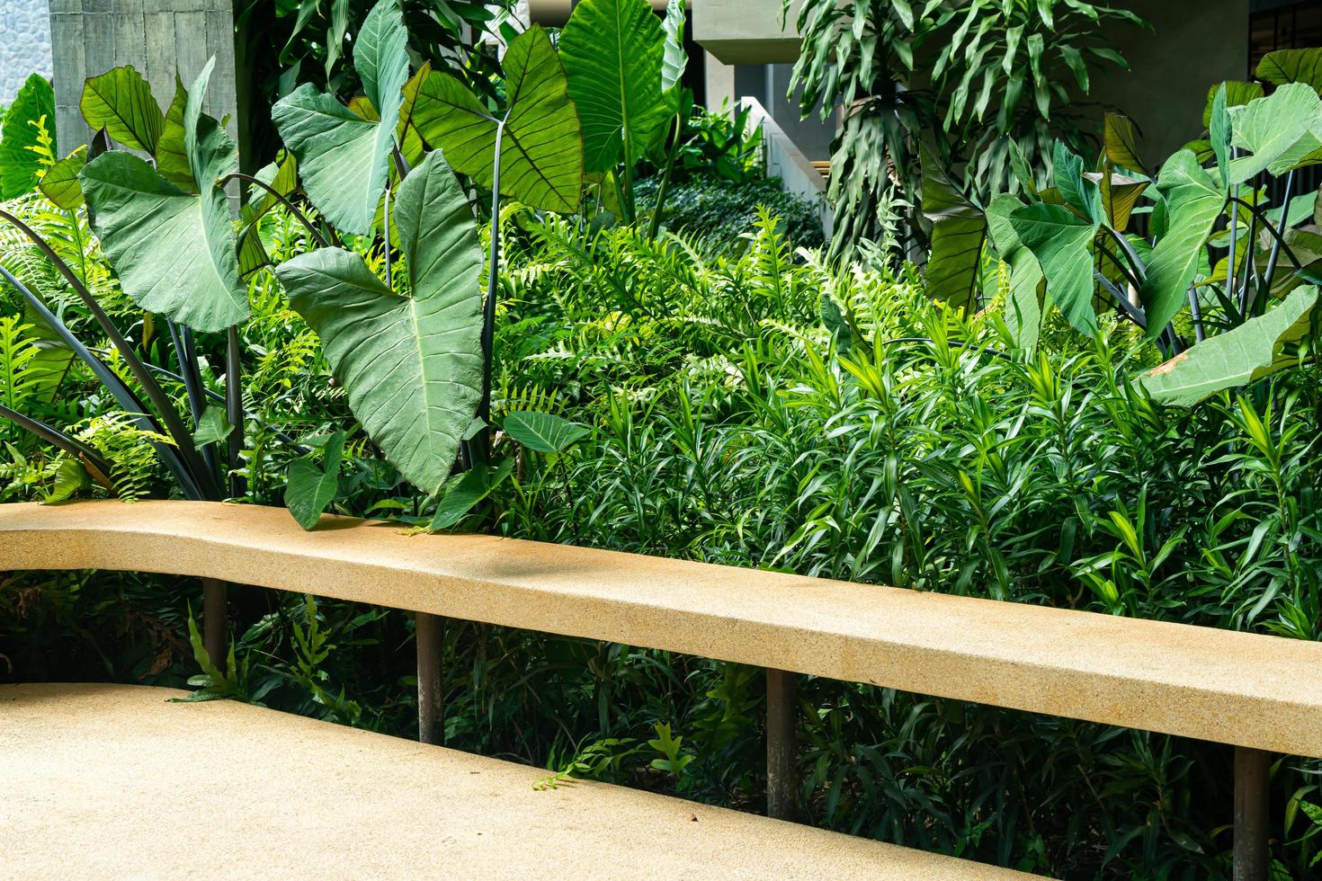 banc vide avec fond d'arbre tropical photo