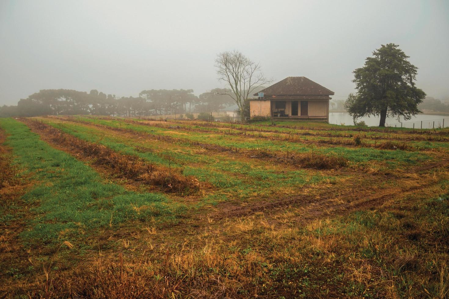 paysage de campagne avec champs cultivés, ferme et lac en un jour brumeux près de bento goncalves. une ville de campagne sympathique dans le sud du brésil célèbre pour sa production de vin. photo