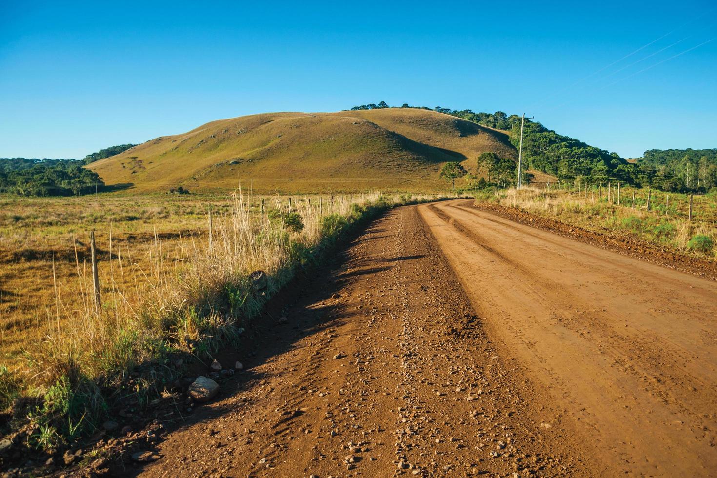 chemin de terre déserte traversant des plaines rurales appelées pampas avec des collines verdoyantes et des arbres près de cambara do sul. une petite ville de campagne dans le sud du brésil avec des attractions touristiques naturelles étonnantes. photo