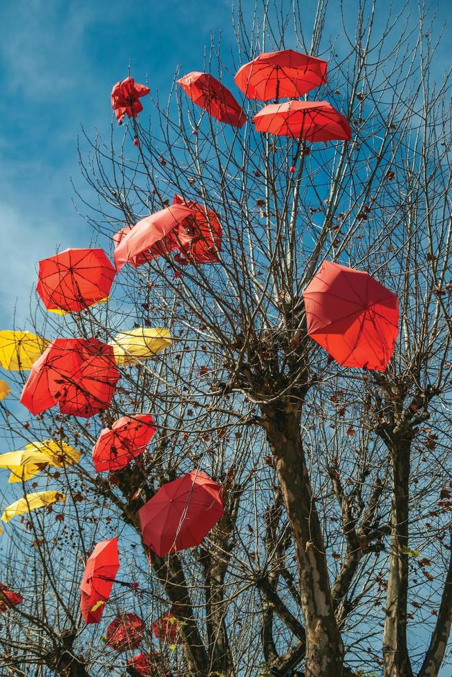 parapluies colorés décorant un arbre sans feuilles dans une rue de canela. une charmante petite ville très appréciée par son écotourisme dans le sud du brésil. photo