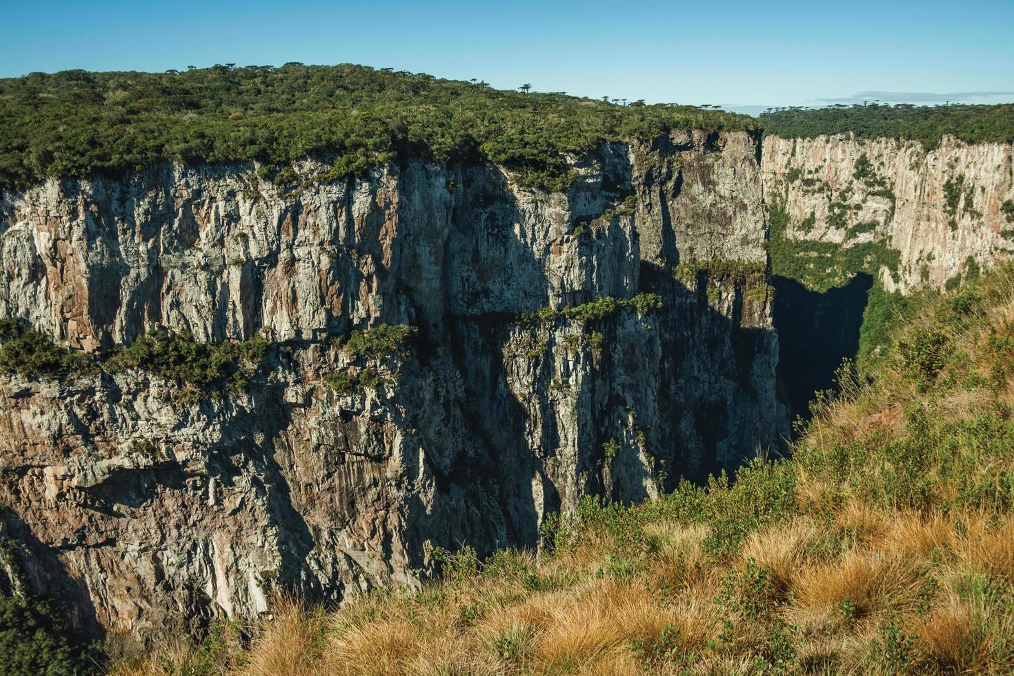 canyon d'itaimbezinho avec des falaises rocheuses abruptes traversant un plateau plat couvert de forêt près de cambara do sul. une petite ville de campagne dans le sud du brésil avec des attractions touristiques naturelles étonnantes. photo