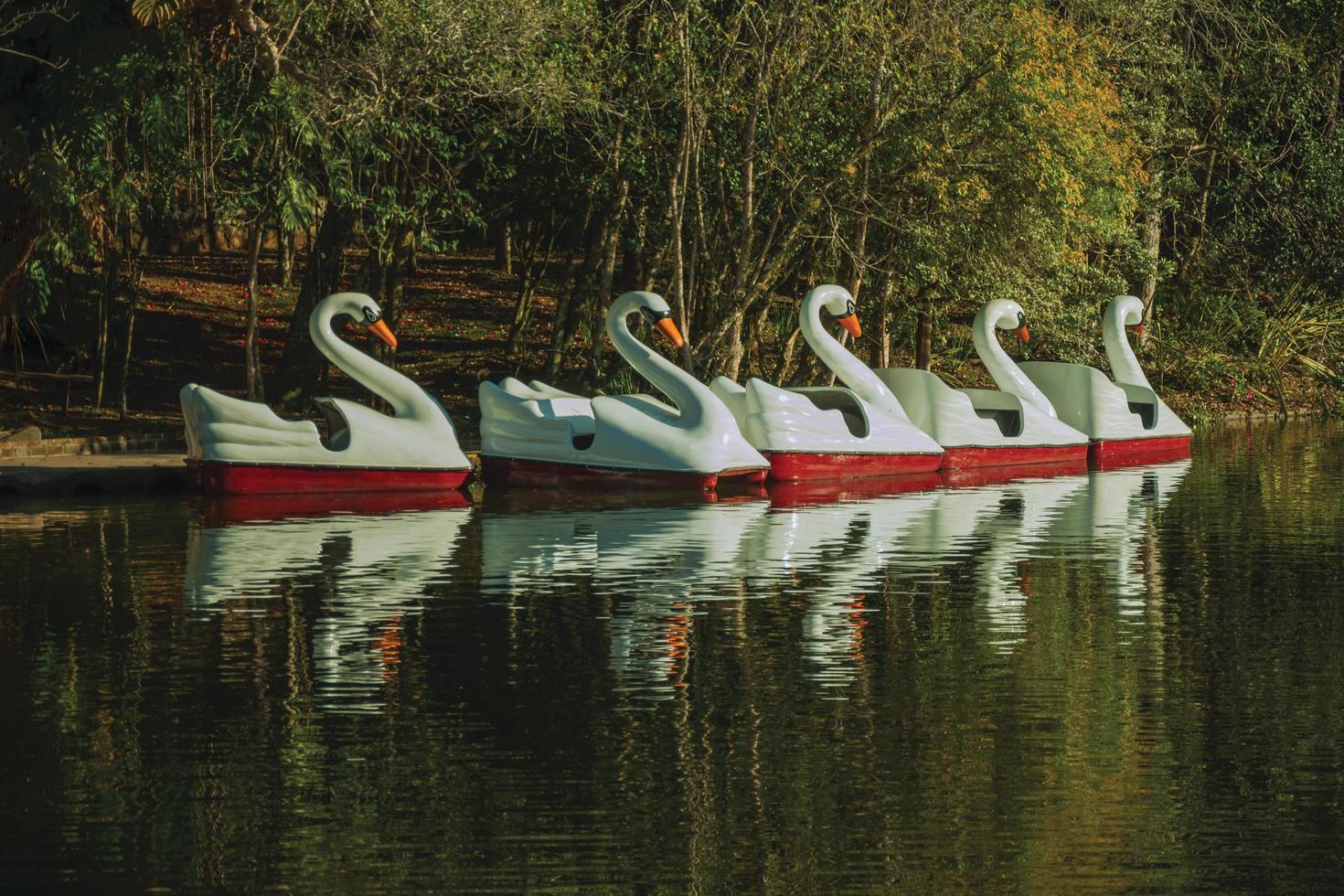 détail de pédalos en fibre de verre en forme de cygne sur un lac au parc du village d'immigrants de nova petropolis. une charmante ville rurale fondée par des immigrants allemands dans le sud du Brésil. photo