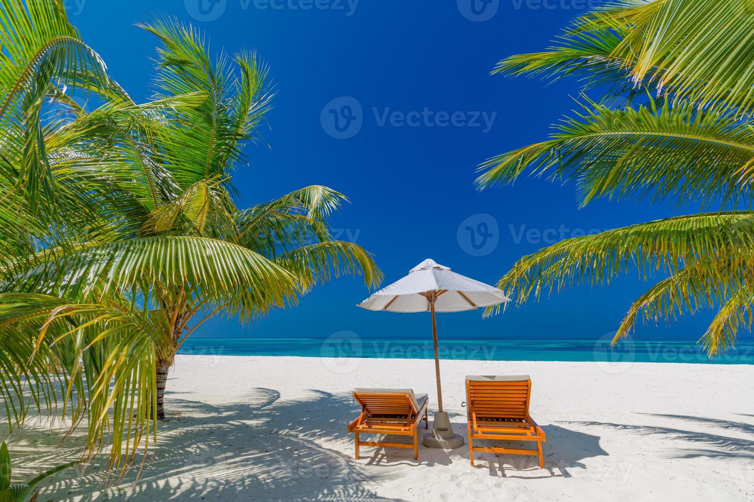 fond de plage tropicale comme paysage d'été avec chaises longues et palmiers et mer calme pour bannière de plage photo