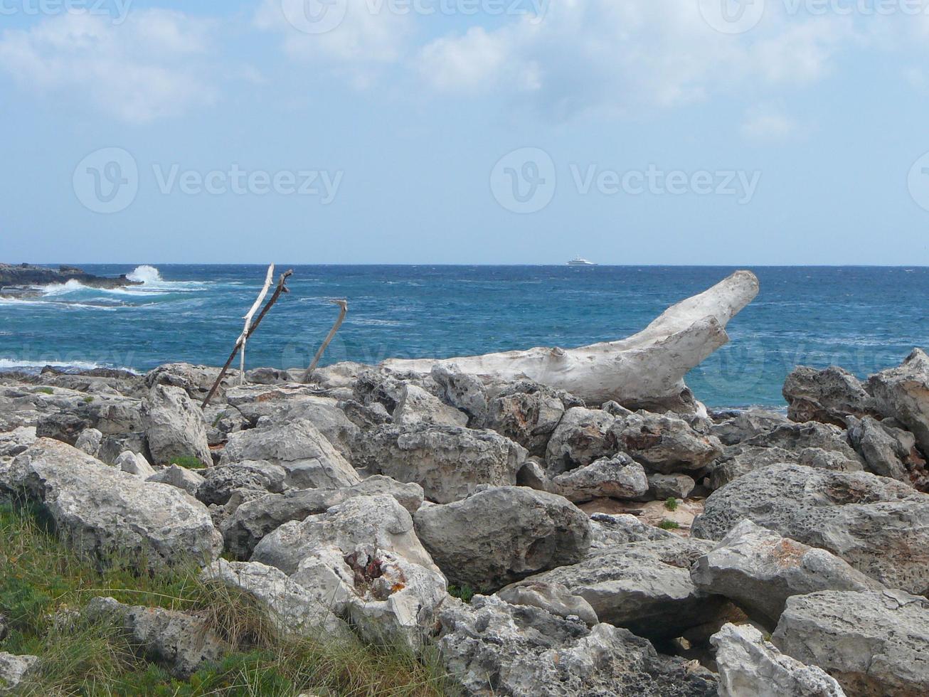 vue sur la punta prima photo