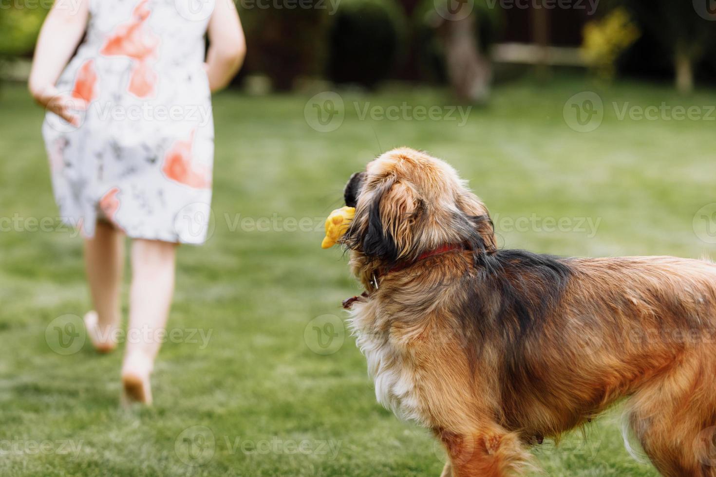 une jolie petite fille joue avec son chien à l'extérieur sur l'herbe à la maison. mise au point sélective. photo