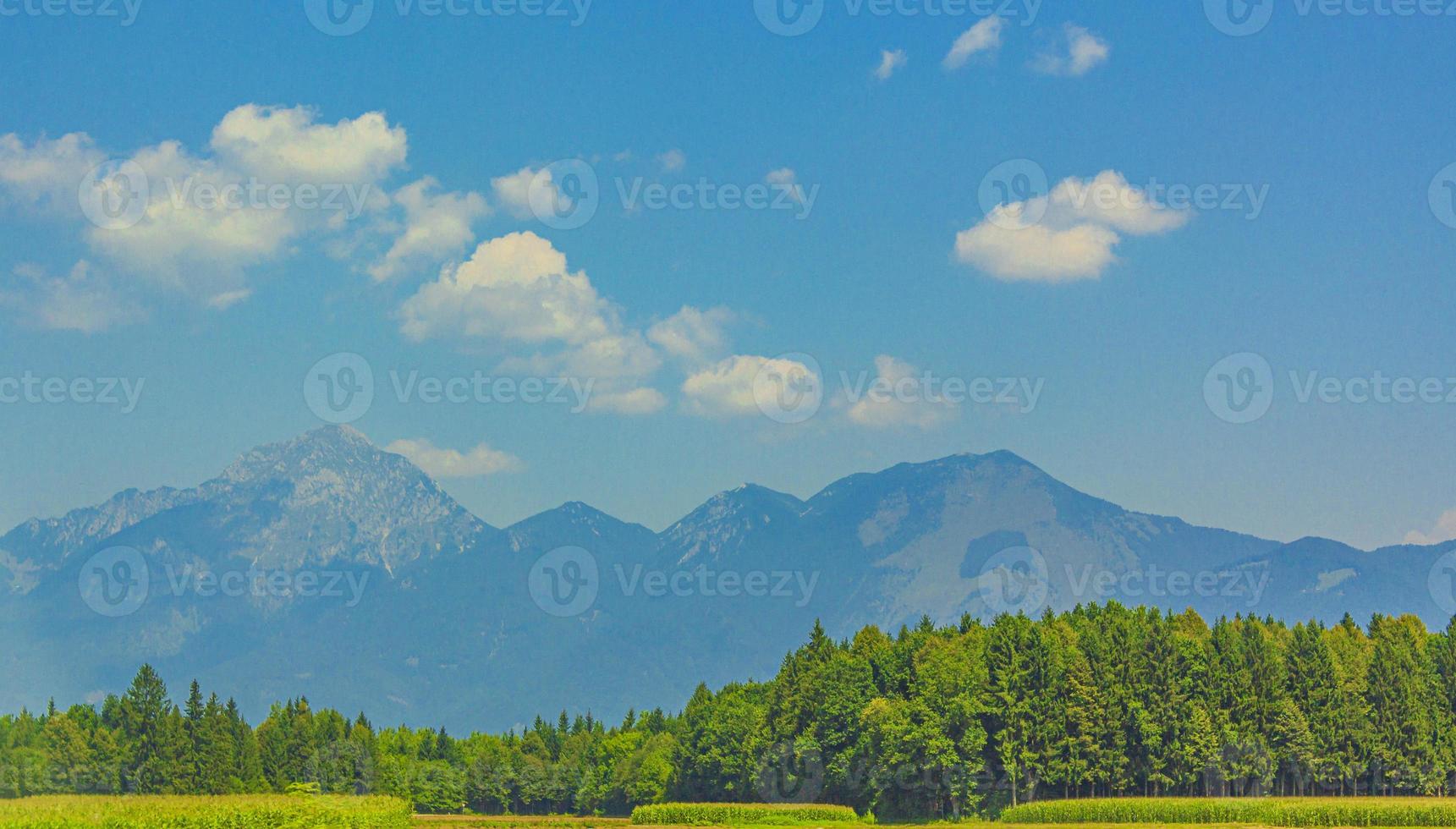 magnifique paysage de montagne et de forêt avec ciel nuageux en slovénie. photo