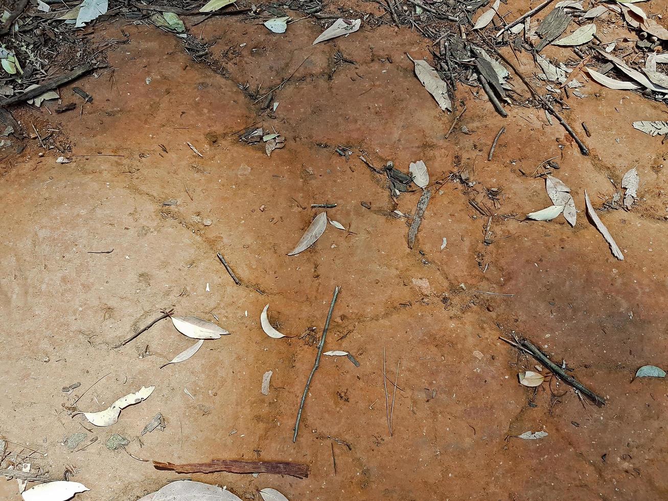 texture du ferralsol rouge ferrugineux ou sol latéritique afrique du sud. photo